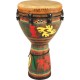 Djembe Remo 18x24