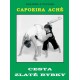 Capoeira Aché