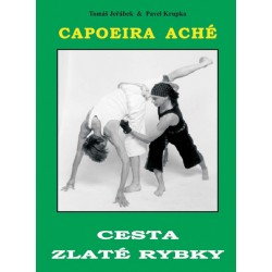 Capoeira Aché