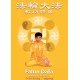 Falun DAFA - dvd (Slovensky)